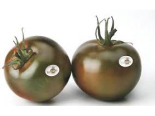 TOMATE KUMATO